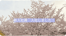 清水サービスエリア