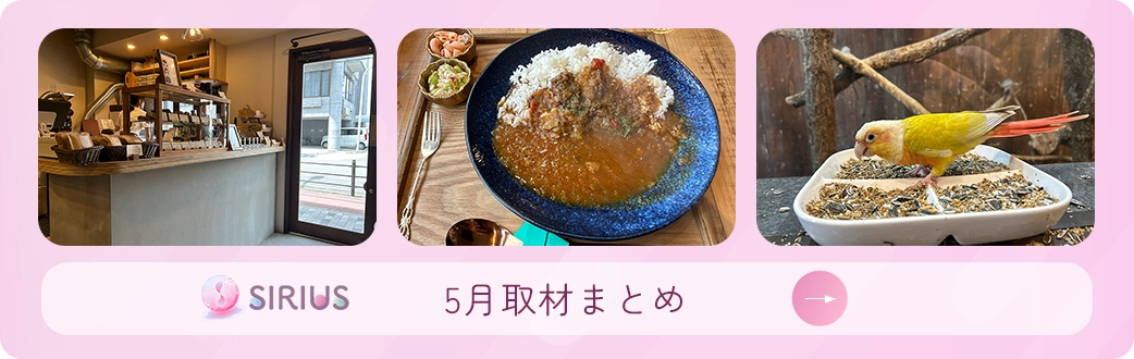 ５月取材まとめ
