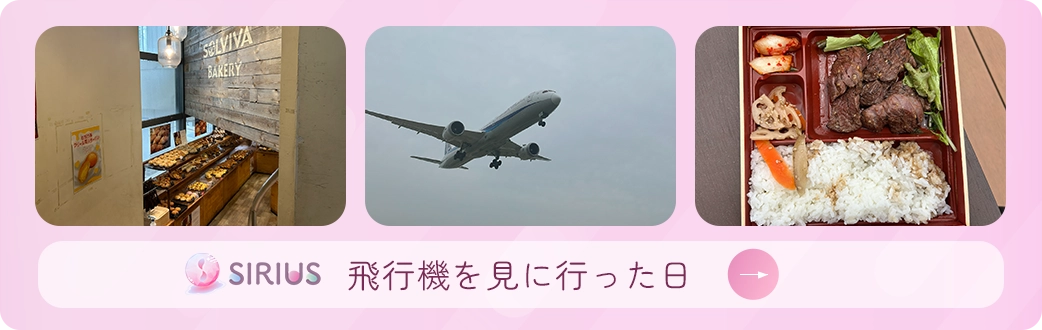 飛行機を見に行った日