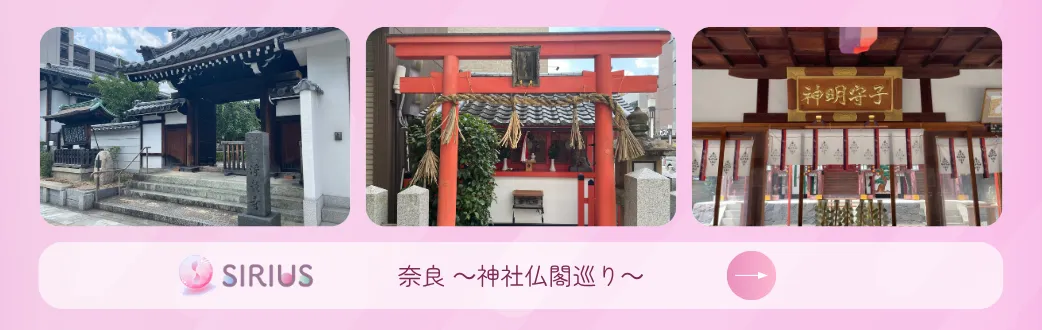 奈良 ～神社仏閣巡り～